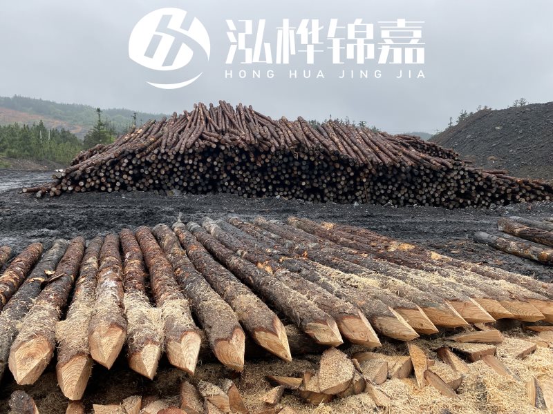 6米長(zhǎng)松木樁有哪些作用，多少錢(qián)一根？