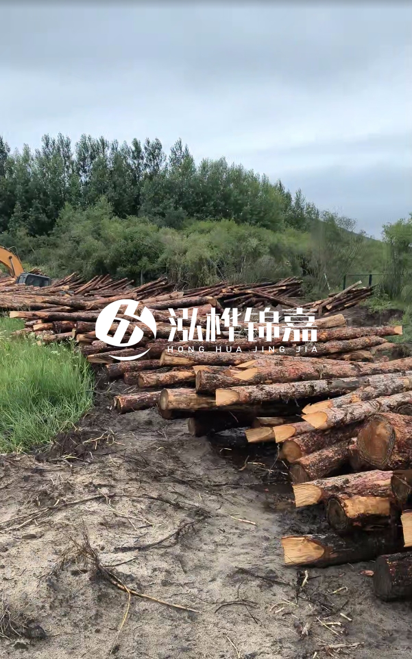 甘肅河道清淤工程公司-為什么要進行河道清淤？