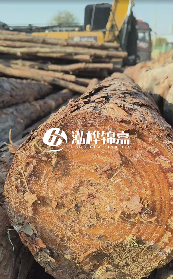 杉木樁價(jià)格多少錢一方-3米直徑14公分杉木樁價(jià)格？
