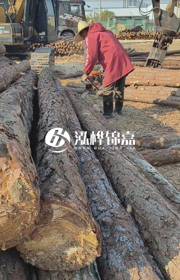 長(zhǎng)沙打樁木批發(fā)廠家在哪里？聯(lián)系方式是什么？