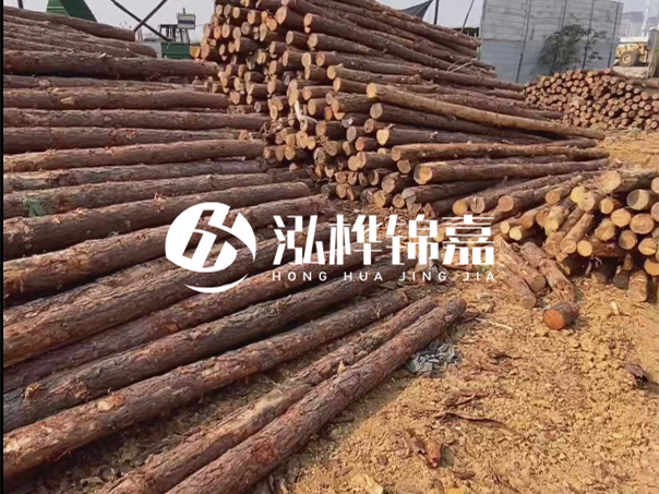 河道木樁施工遇到淤泥怎么辦？打多深才能防沖刷？