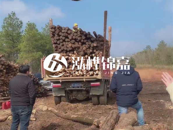 防腐木樁價格比普通木樁貴多少？防腐木樁有哪些處理方式？