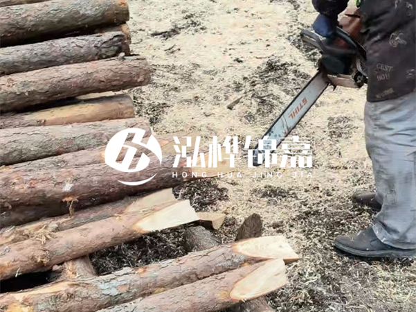 杉木樁批發(fā)廠家哪家好？產(chǎn)地直供渠道推薦！