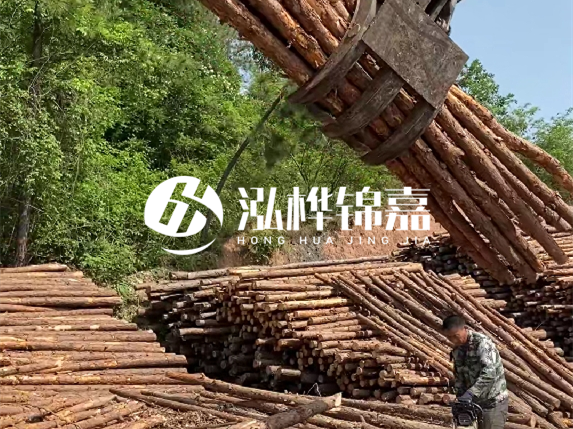 哪里能買到優(yōu)質(zhì) 3 米松木樁？長沙有松木樁批發(fā)工廠嗎？