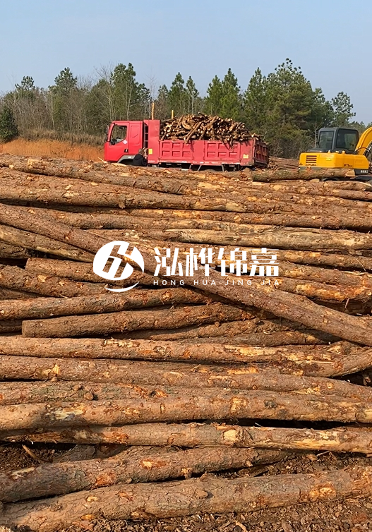 8米小頭11-13CM的松木樁價格是多少？打樁施工怎么算？