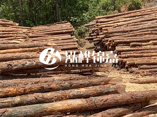 松木樁的運(yùn)輸費(fèi)用是否包含卸車費(fèi)？卸貨時需要注意哪些安全問題？
