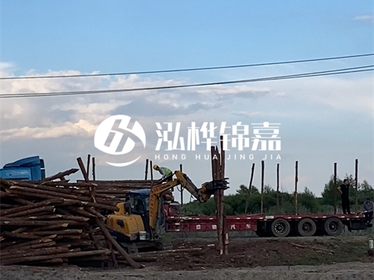 河北打樁木源頭廠家泓樺錦嘉 - 北方常用打樁木是什么？