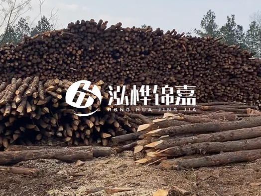 地基打木樁用什么木材 - 地基打木樁的能撐幾年？