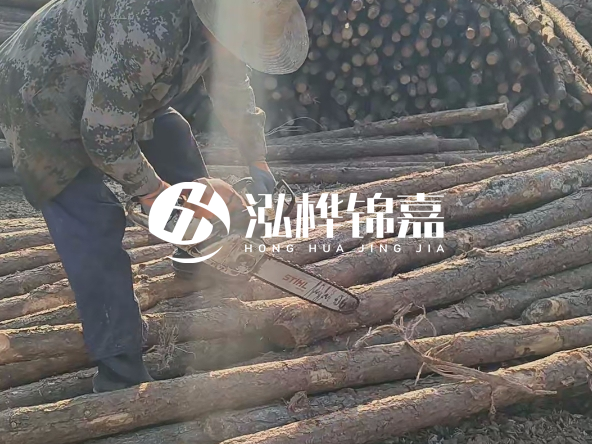 廣東打樁木源頭廠家泓樺錦嘉 - 如何選擇適合特定邊坡的松木樁？