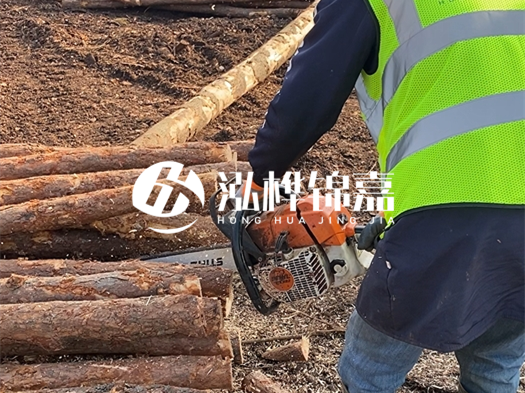 河道打木樁多少錢(qián)一根？5米直徑10松木樁打樁多少錢(qián)？
