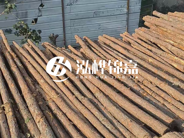 松木樁打樁后清淤怎么處理？有沒有全包的公司？