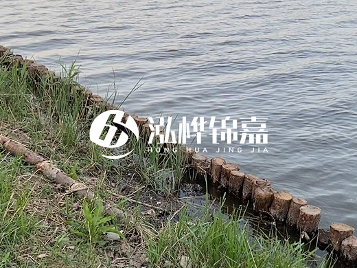 防洪松木樁施工重要性？河道打木樁的位置怎么確定？