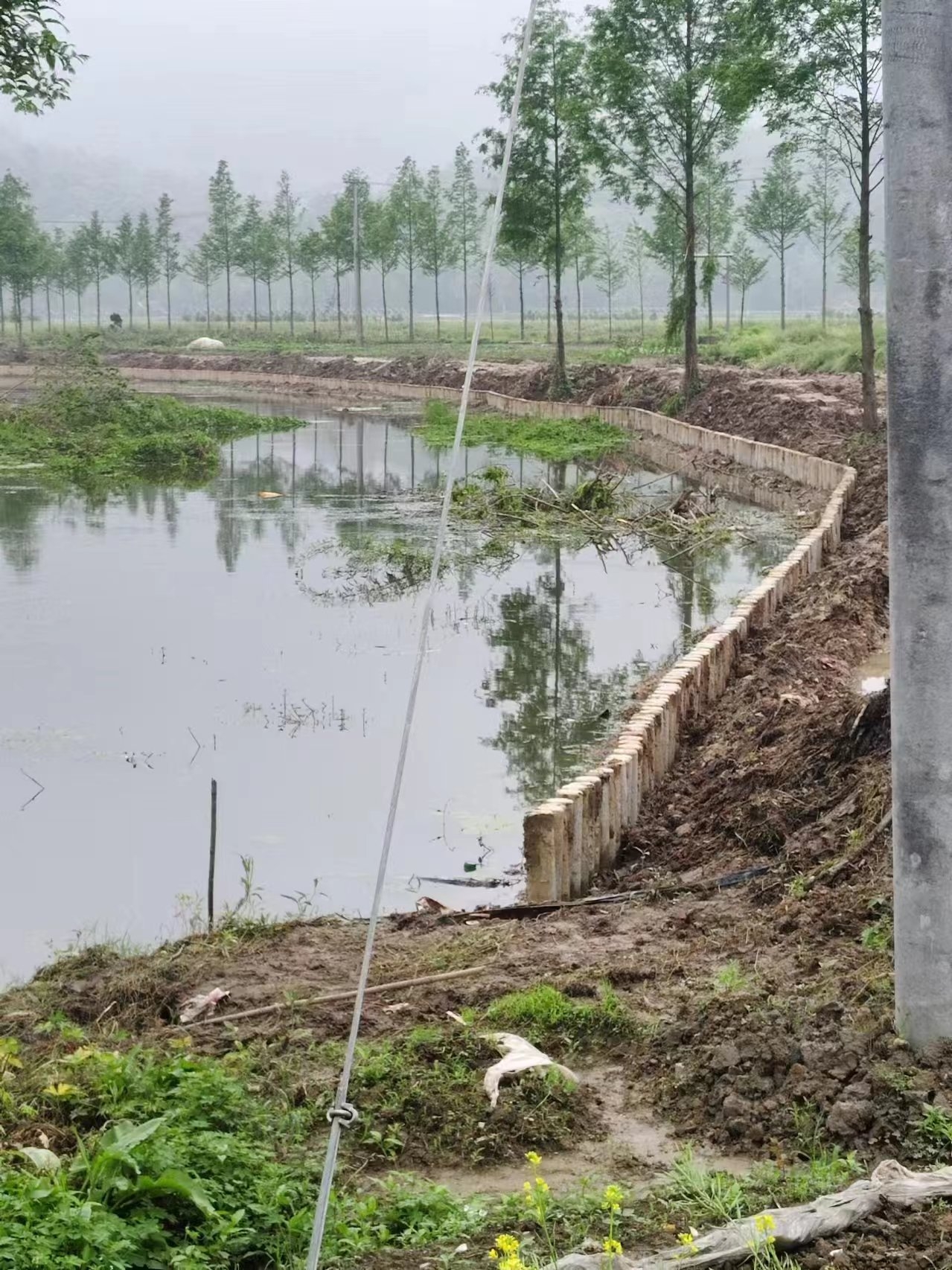 湖南水泥樁施工隊泓樺錦嘉-打水泥樁需要注意哪些事項？