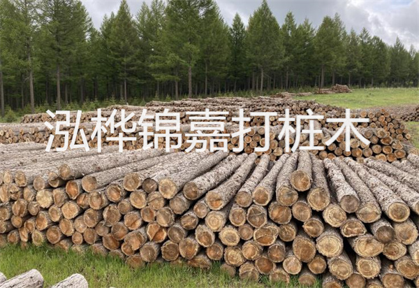 松木樁能施工嗎？探究視頻揭秘真相！