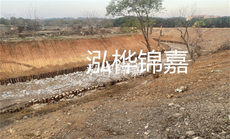 松木樁基礎(chǔ)施工電梯：提升施工效率，保護(hù)環(huán)境