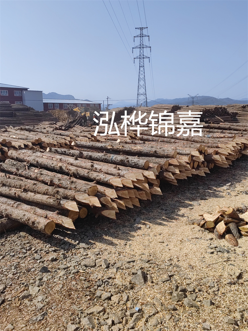 深入了解松木樁基礎(chǔ)施工單價(jià)，助力工程建設(shè)順利進(jìn)行！