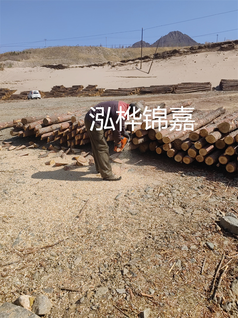 松木樁駁岸施工，打造水上風(fēng)景線(xiàn)