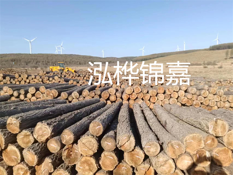 溫州松木樁施工廠家——為您打造堅固穩(wěn)定的建筑基礎(chǔ)！