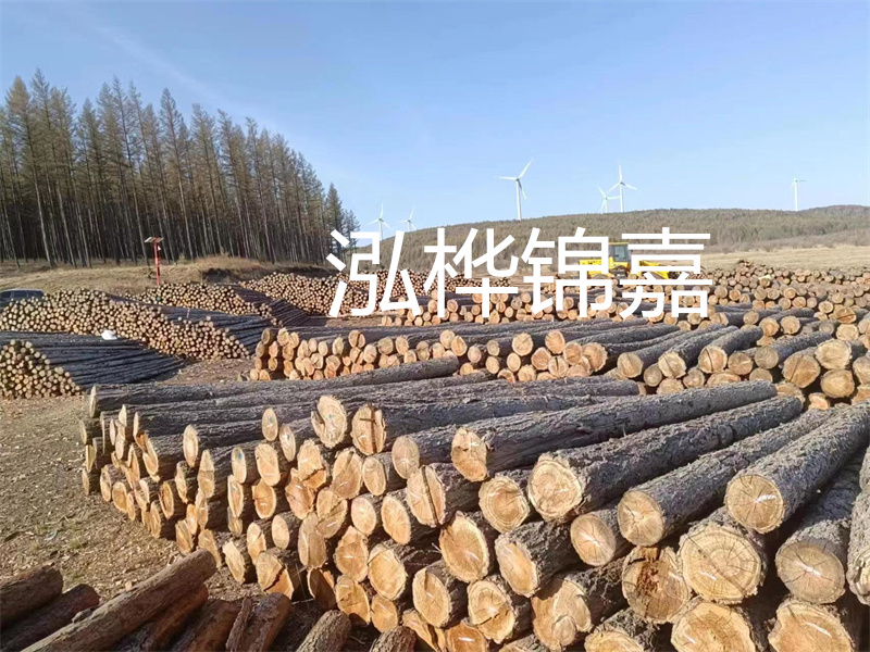 用路基松木樁施工方案提升工程質(zhì)量描述：了解路基松木樁施工方案的重要性，提高工程質(zhì)量關(guān)鍵詞：路基松木樁，施工方案，工程質(zhì)量