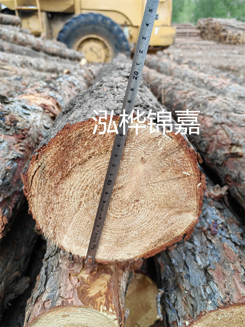 松木樁護(hù)坡施工圖片——保護(hù)環(huán)境，守護(hù)家園